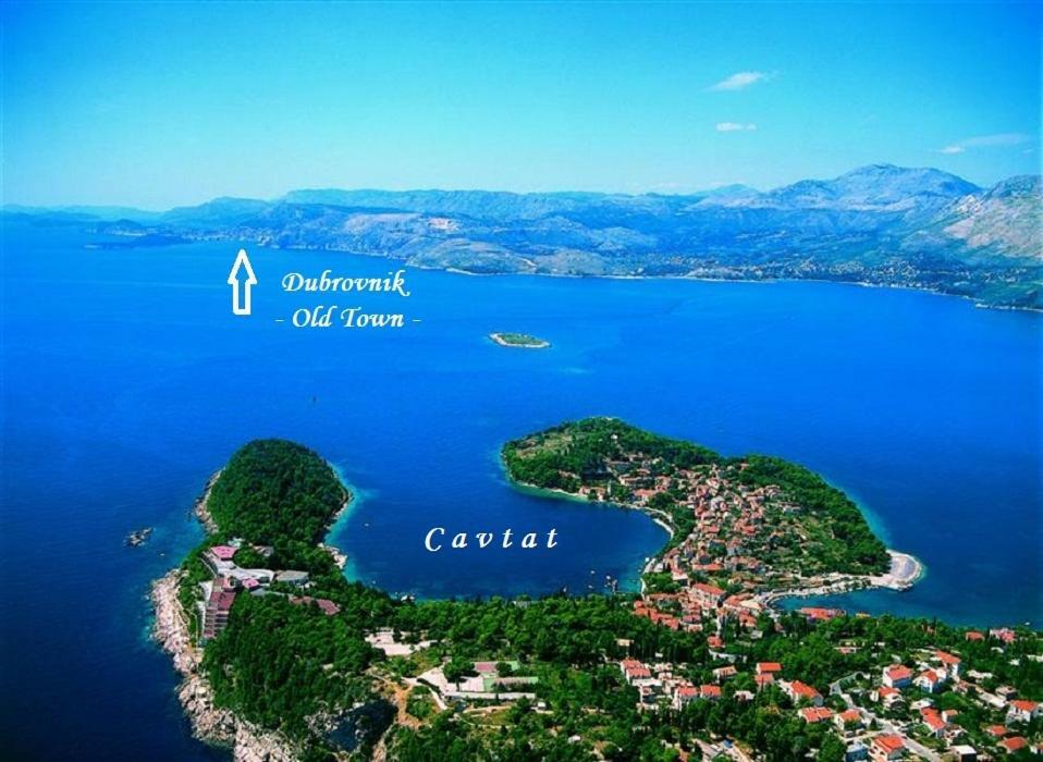 Unique Cavtat Center Apartment Eksteriør billede
